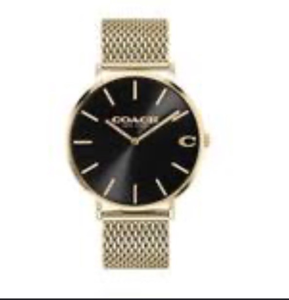 Authentic Coach Charles New York Analog Quartz Women Adult Watch Golden Gold