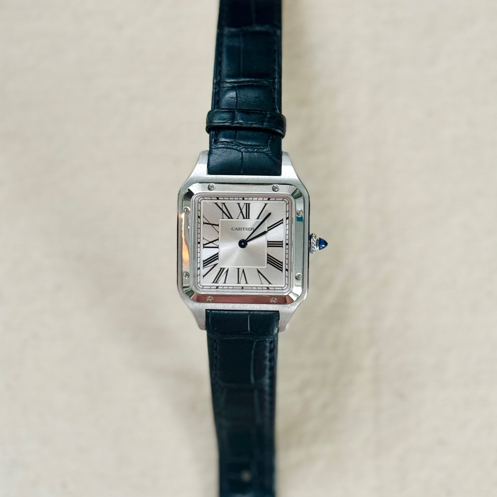 Cartier Santos-Dumont WSSA0022 Large Steel Full Set Box Papers