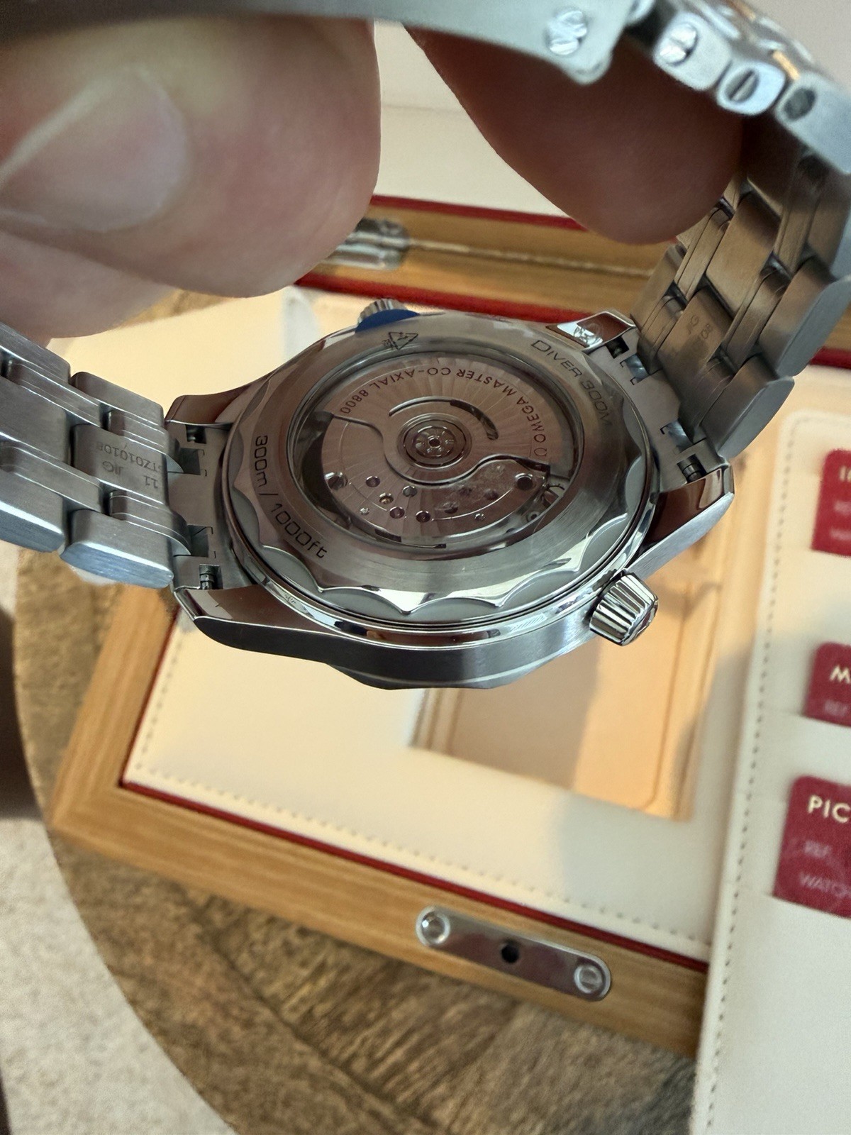 OMEGA Seamaster Diver 300M