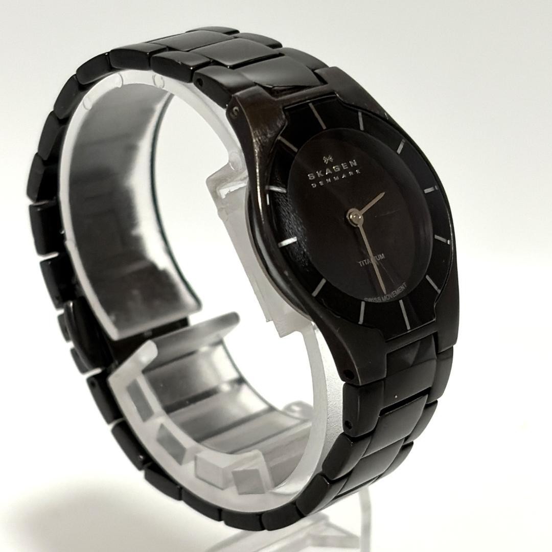 Skagen Black Label Ladies Titanium Watch Quartz Battery From Japan