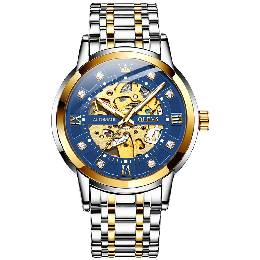 OLEVS 9901 Fashion Multi-functiom Accurate Transparent Vintage Mechanical Watch
