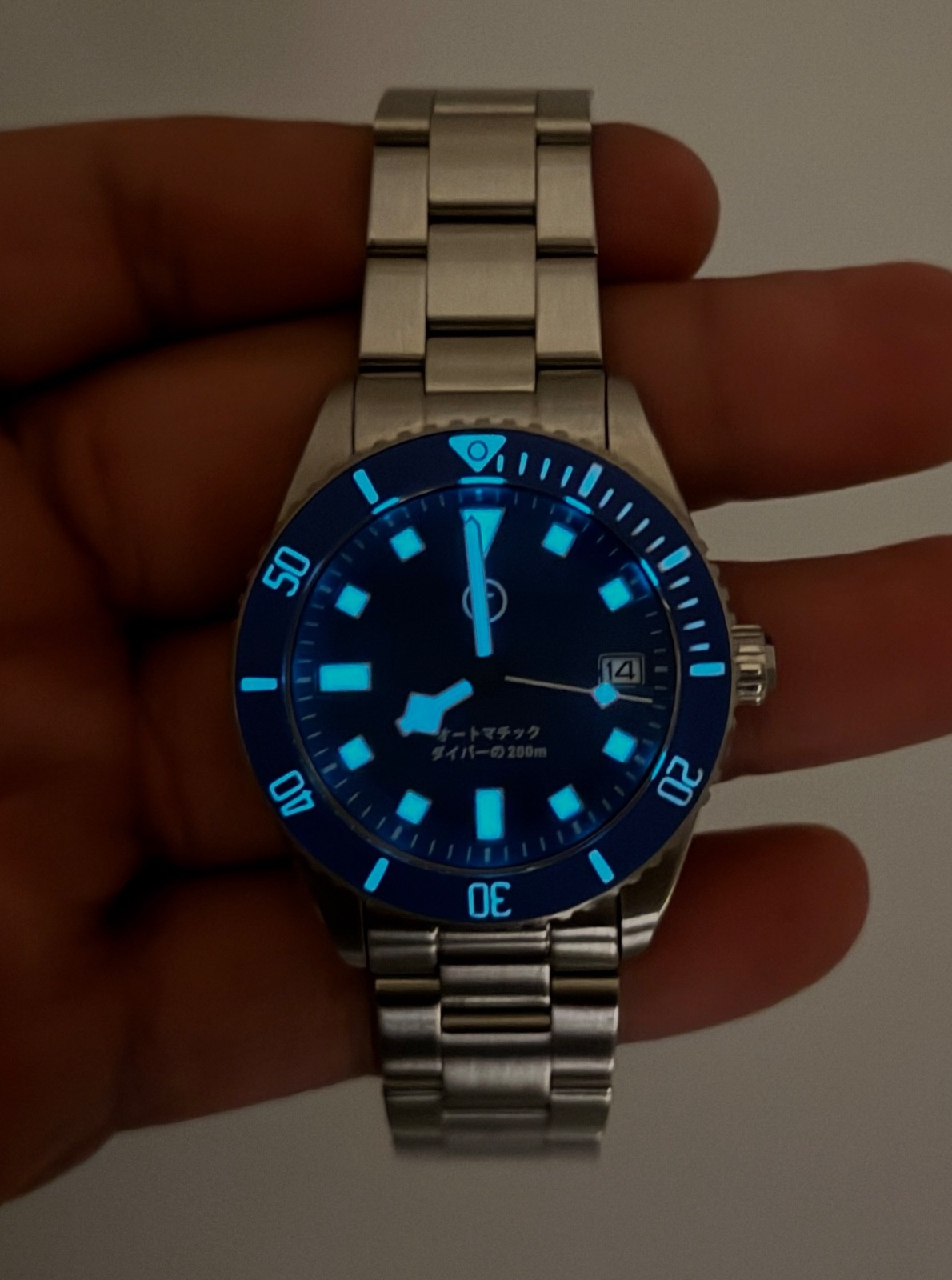 Blue Date BGW9 Snow Flake PD Modded 40mm Diver Watch 200m “PLGS Style”