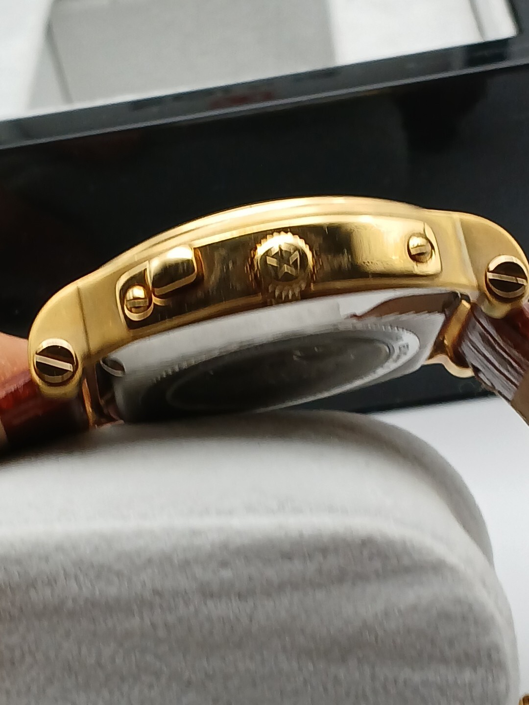 Soyuz Premium Skeleton Chronograph 23k Gold Pl Rare Model Automatic Movement Lux