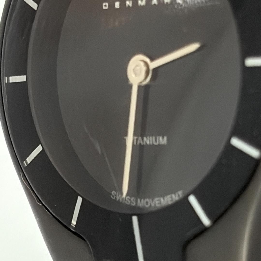 Skagen Black Label Ladies Titanium Watch Quartz Battery From Japan