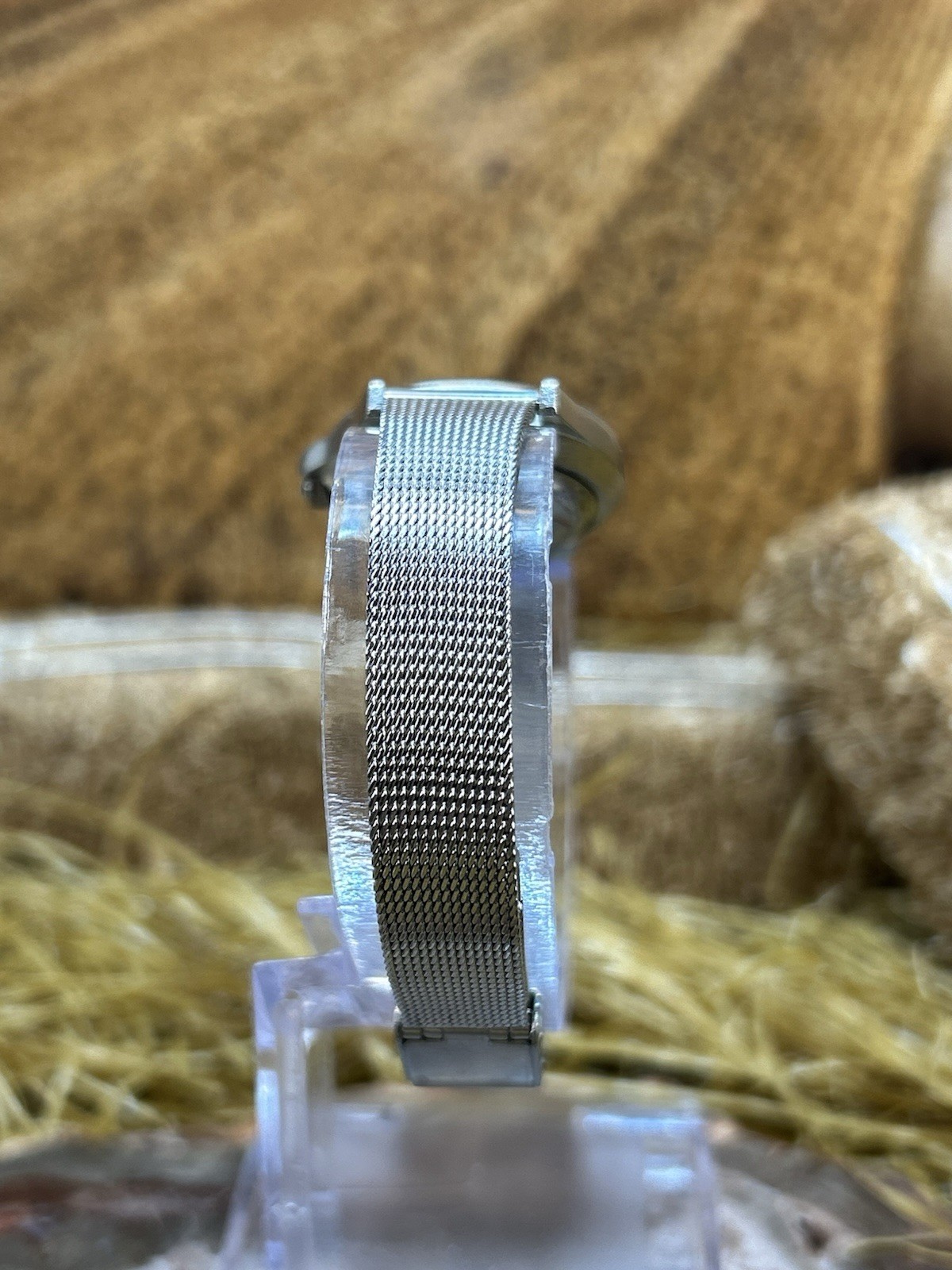 Australia Echidnas Road Sign Ladies Watch Silver Tone Mesh Band Graphic Dial