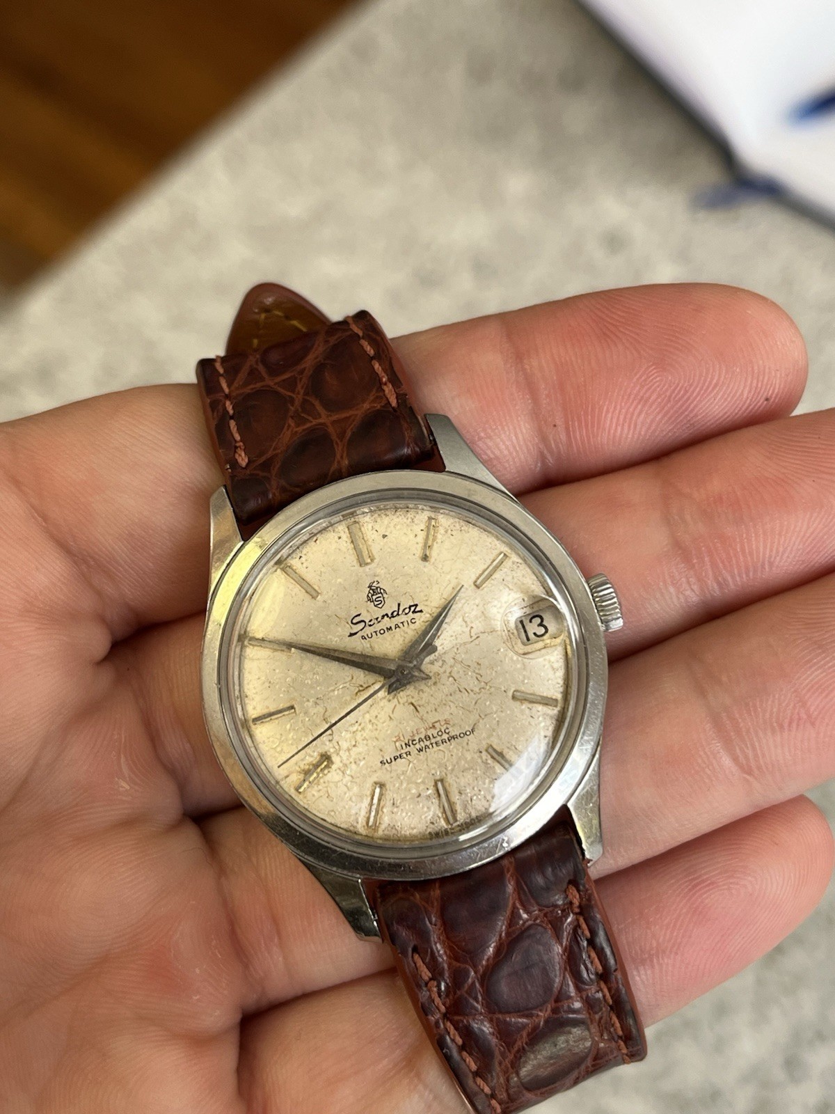 Sandoz Automatic, tropical dial, Felsa 4007N with spare watch for parts