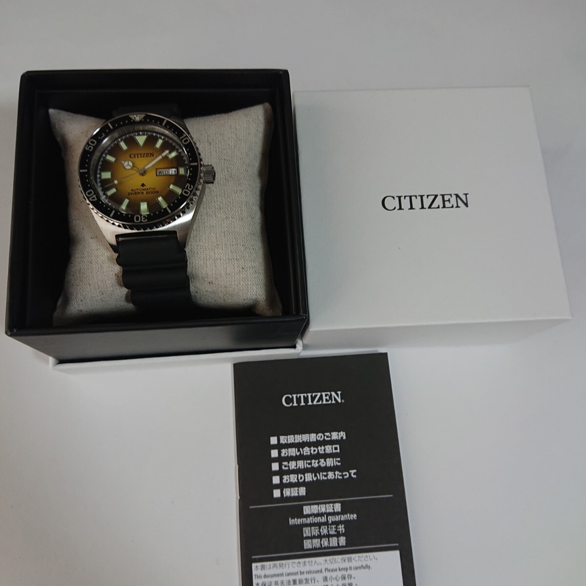 Overseas model CITIZEN Promaster NY0120 01X PROMASTER MARINE Diver 200m Automati