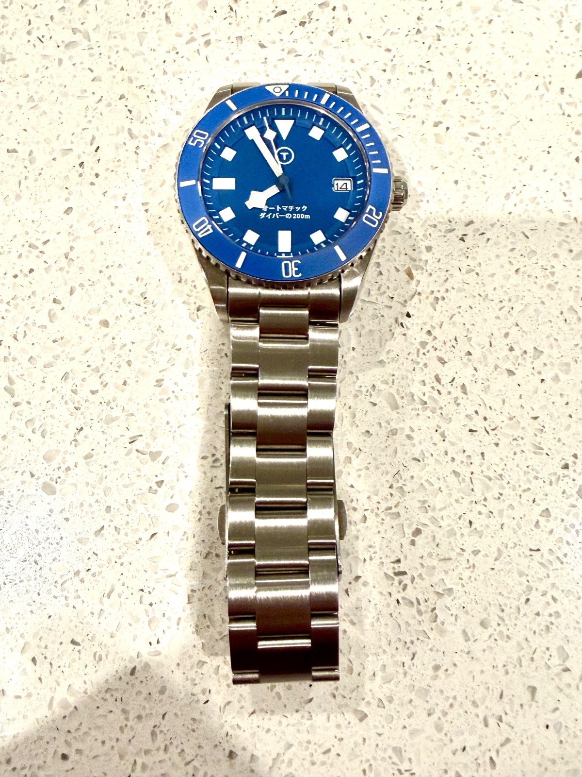 Blue Date BGW9 Snow Flake PD Modded 40mm Diver Watch 200m “PLGS Style”
