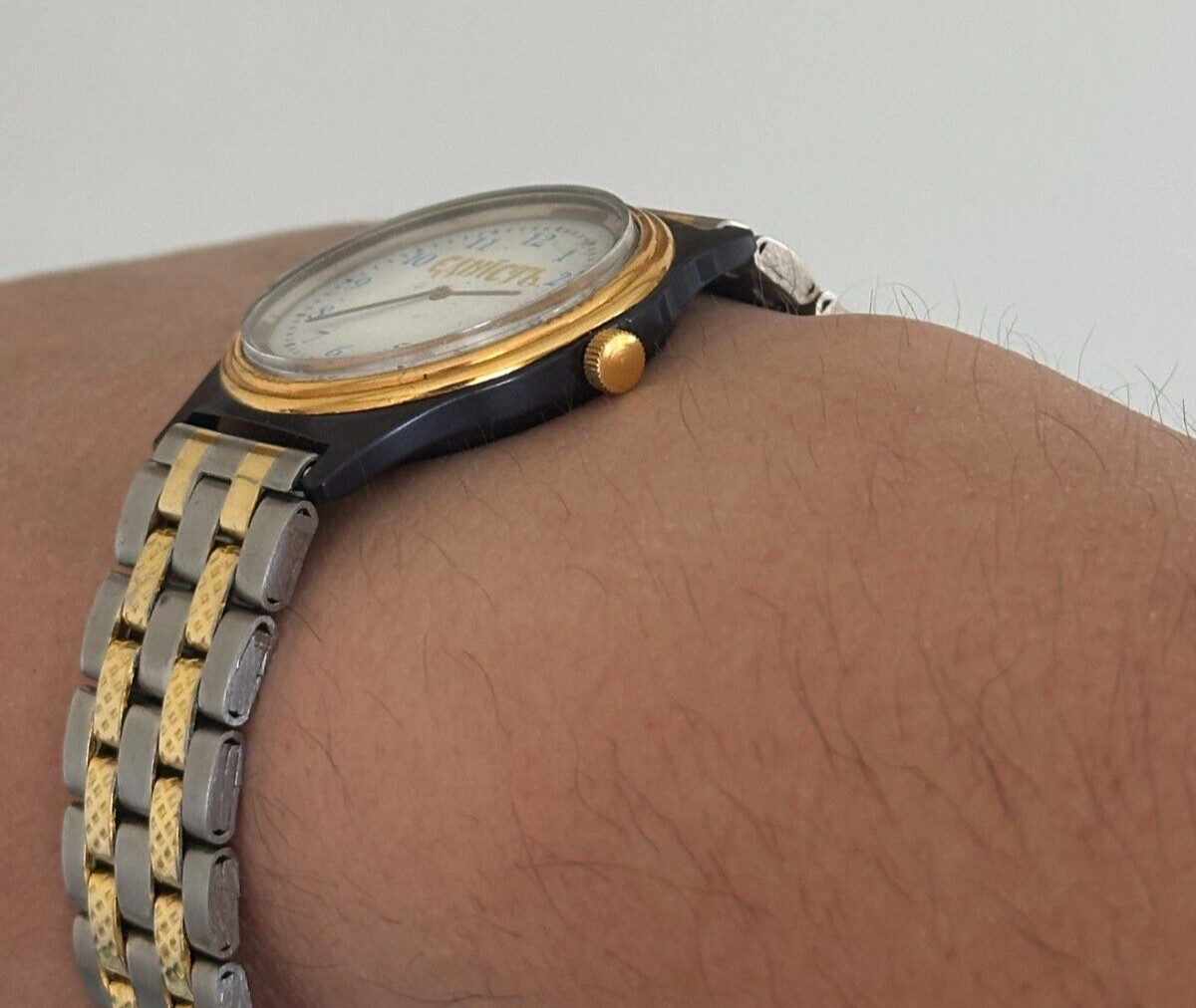 Ukraine watch CHAIKA unity mechanical anniversary watch History of Ukraine