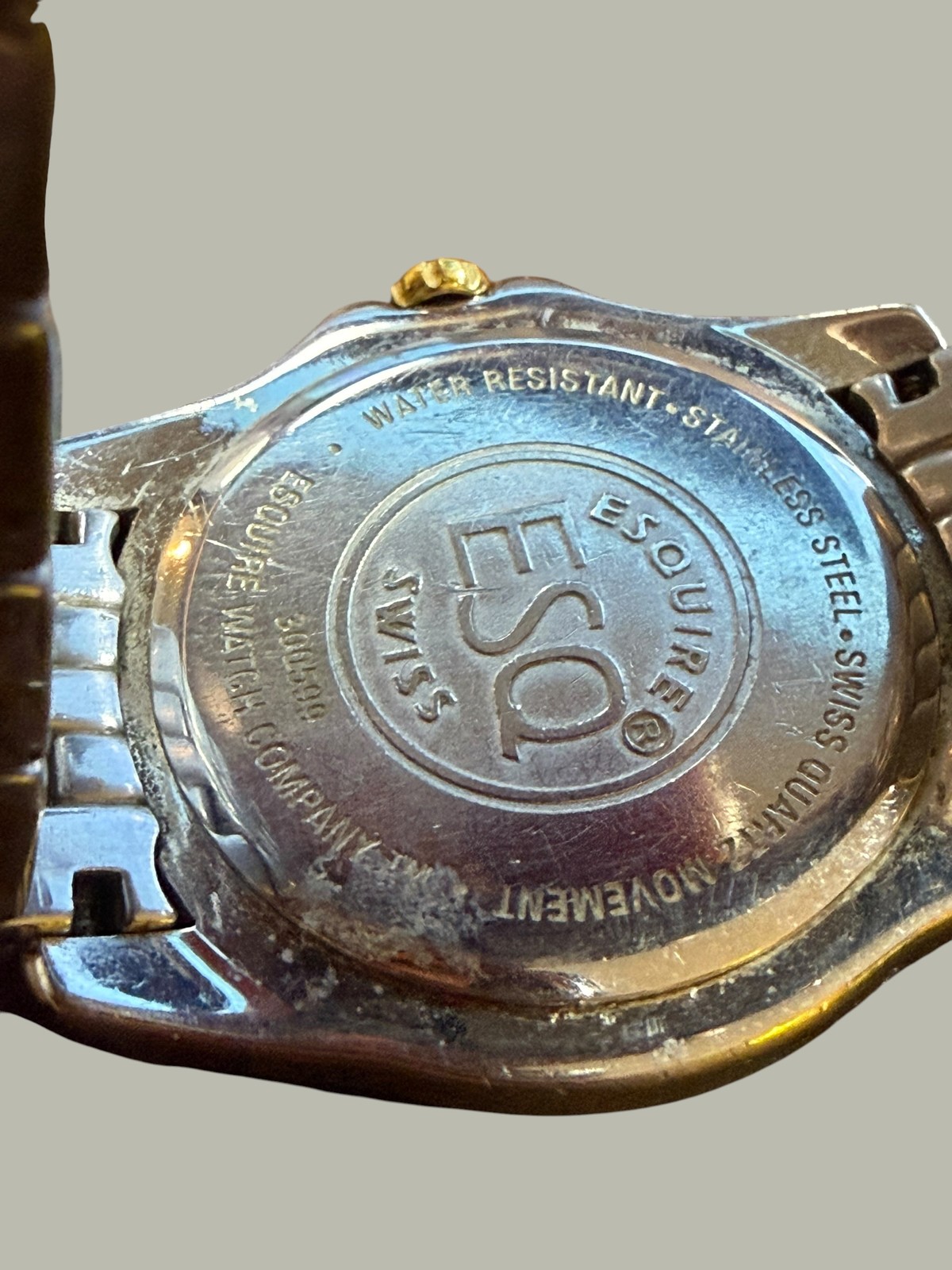 ESQ Esquire Swiss Two-Tone Stainless Steel Quartz Wristwatch Date Window Roman