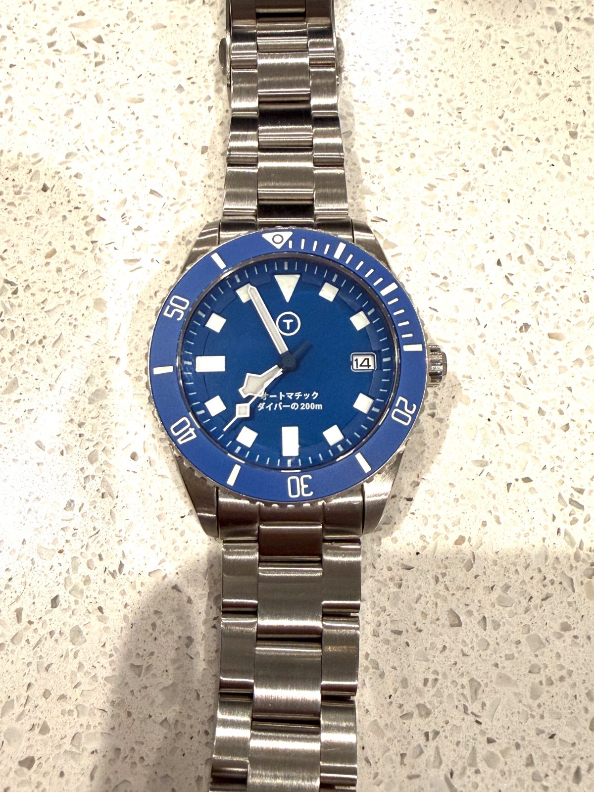 Blue Date BGW9 Snow Flake PD Modded 40mm Diver Watch 200m “PLGS Style”