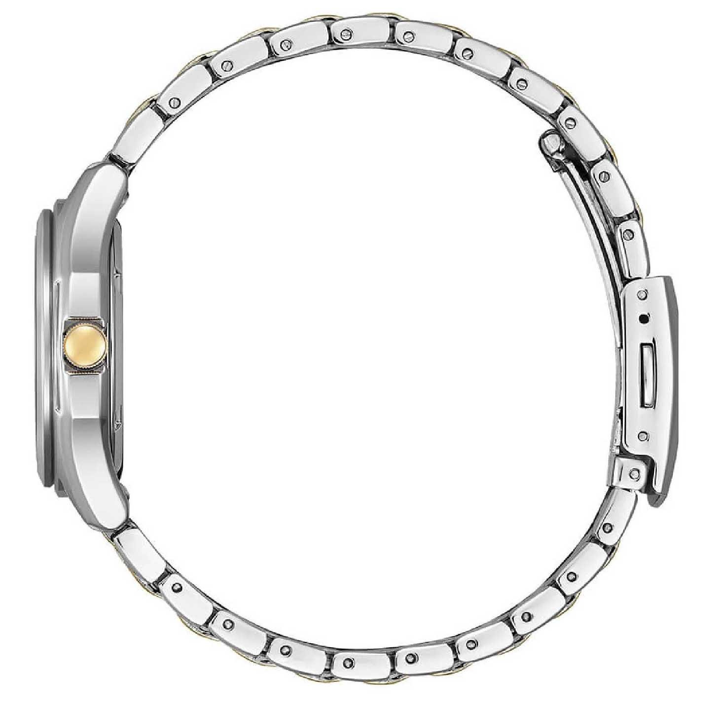 Citizen Multicolour Womens Analogue Watch FE2116-85A