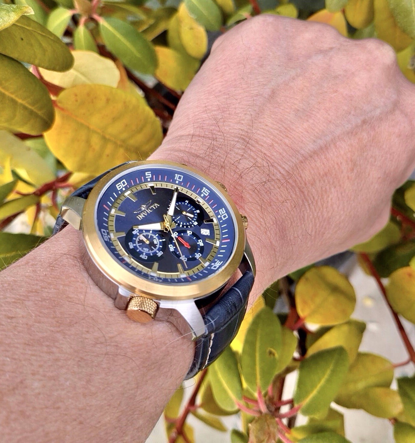 INVICTA SPECIALTY CHRONO-INNER ROTATING BEZEL+EXTRA LTHR STRAP & LINK TOOL OPTN