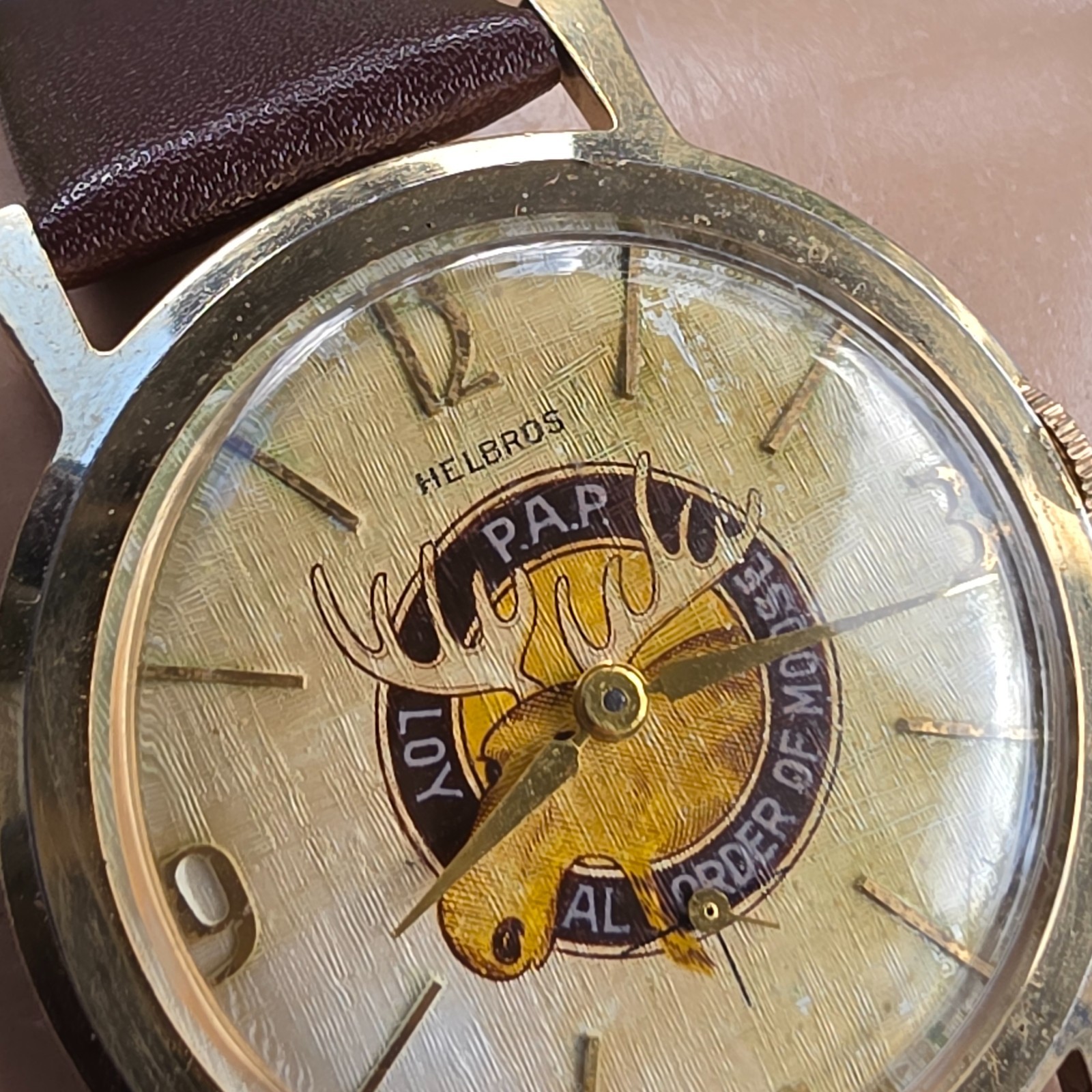 Vintage Helbros men’s manual wind watch Loyal Order of Moose linen dal 1950s