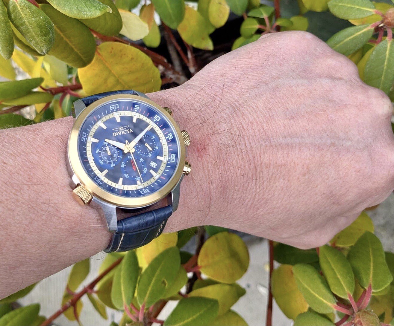 INVICTA SPECIALTY CHRONO-INNER ROTATING BEZEL+EXTRA LTHR STRAP & LINK TOOL OPTN