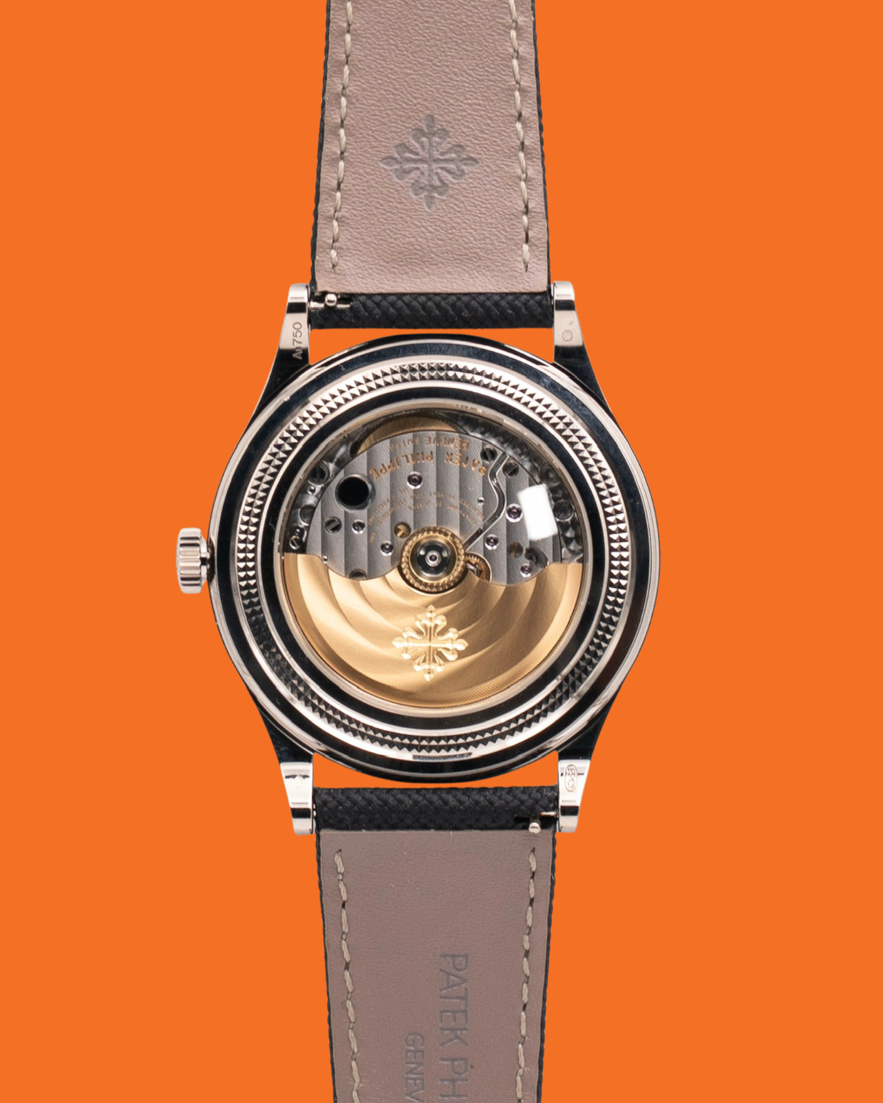 Patek Philippe Retrograde Perpetual Calendar 39.5mm 6159G Moonphase Hobnail