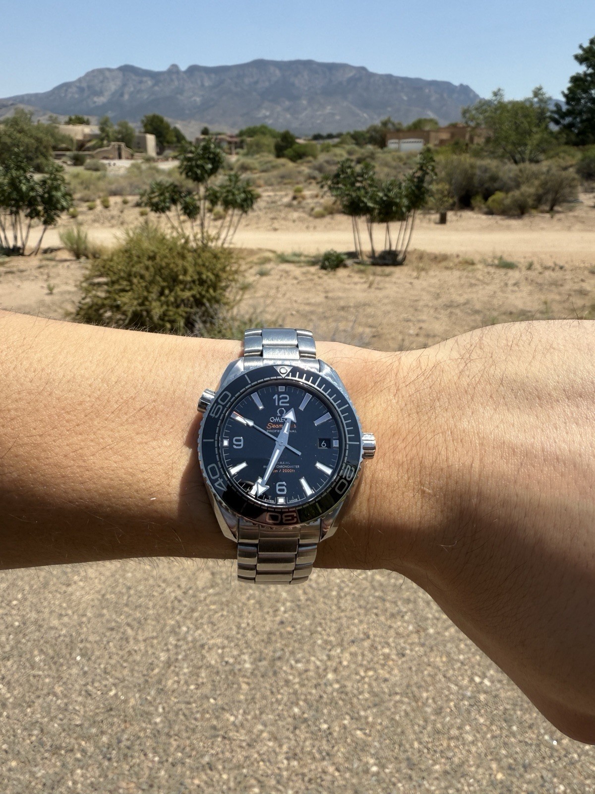 Omega Planet Ocean Black 39.5mm With Bracelet/Extra Straps, Box And Papers