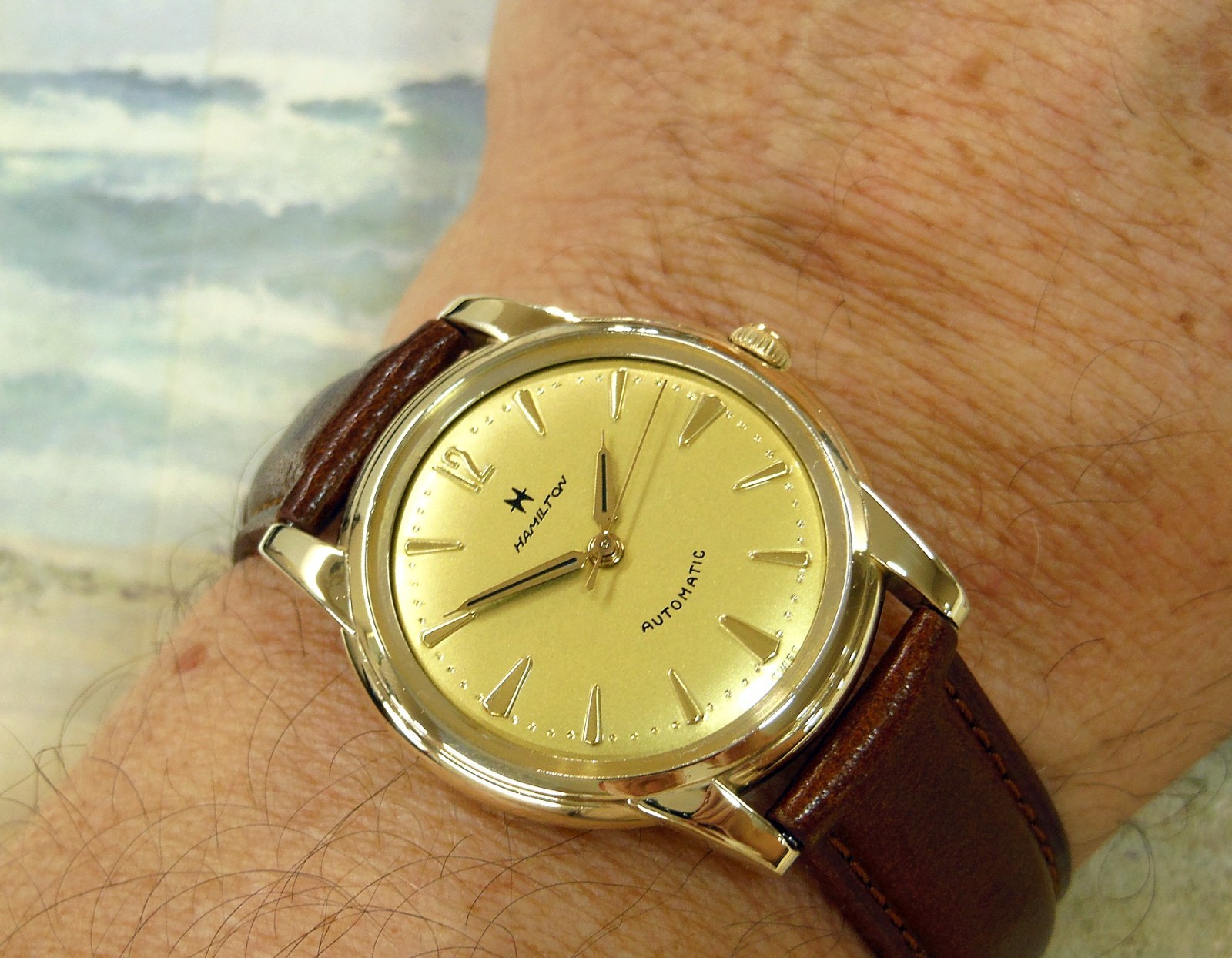 1950’s Vintage HAMILTON Automatic, Stunning CHAMPAGNE Dial, Serviced / Warranty