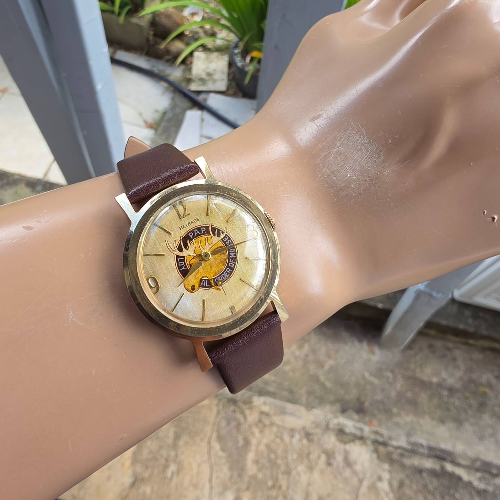 Vintage Helbros men’s manual wind watch Loyal Order of Moose linen dal 1950s