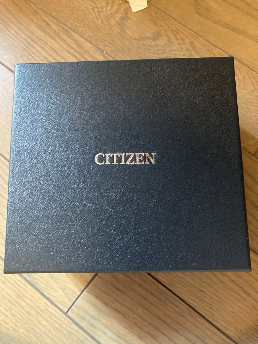 Brand New CITIZEN The Citizen AQ1040 53A
