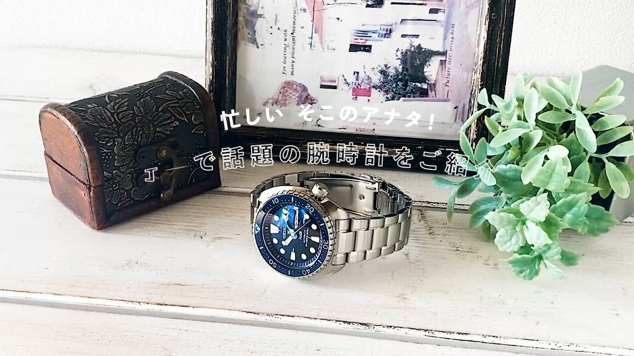 SEIKO Prospex SBDY125 PADI Special Edition King Turtle Automatic Diver Watch New